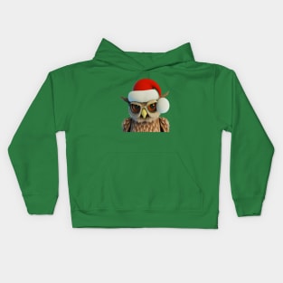 Funny Christmas Owl Wearing Santa Hat Kids Hoodie